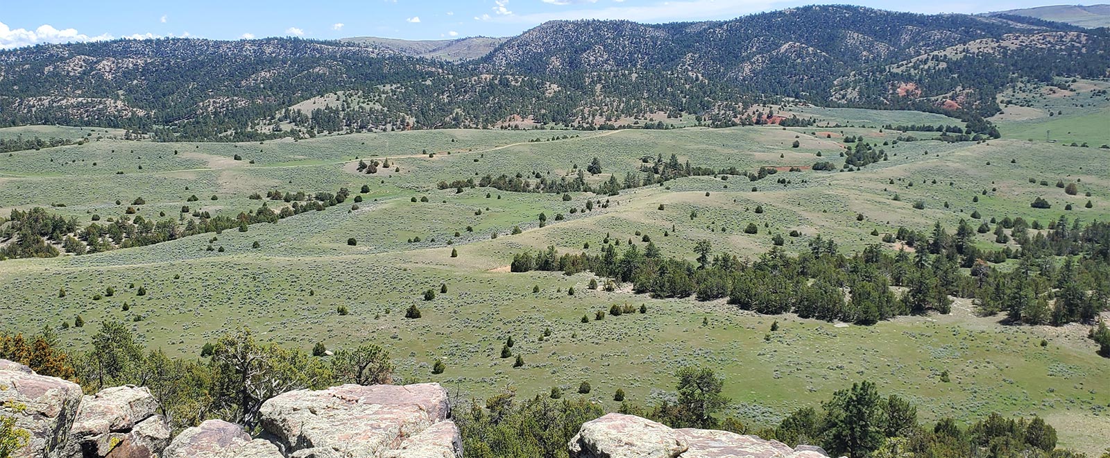 Land Overview